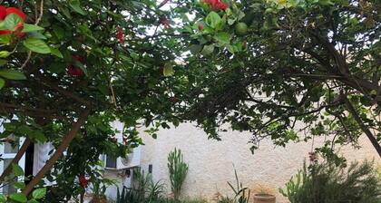 Maison au Fond du Jardin