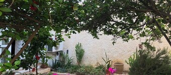 Maison au Fond du Jardin