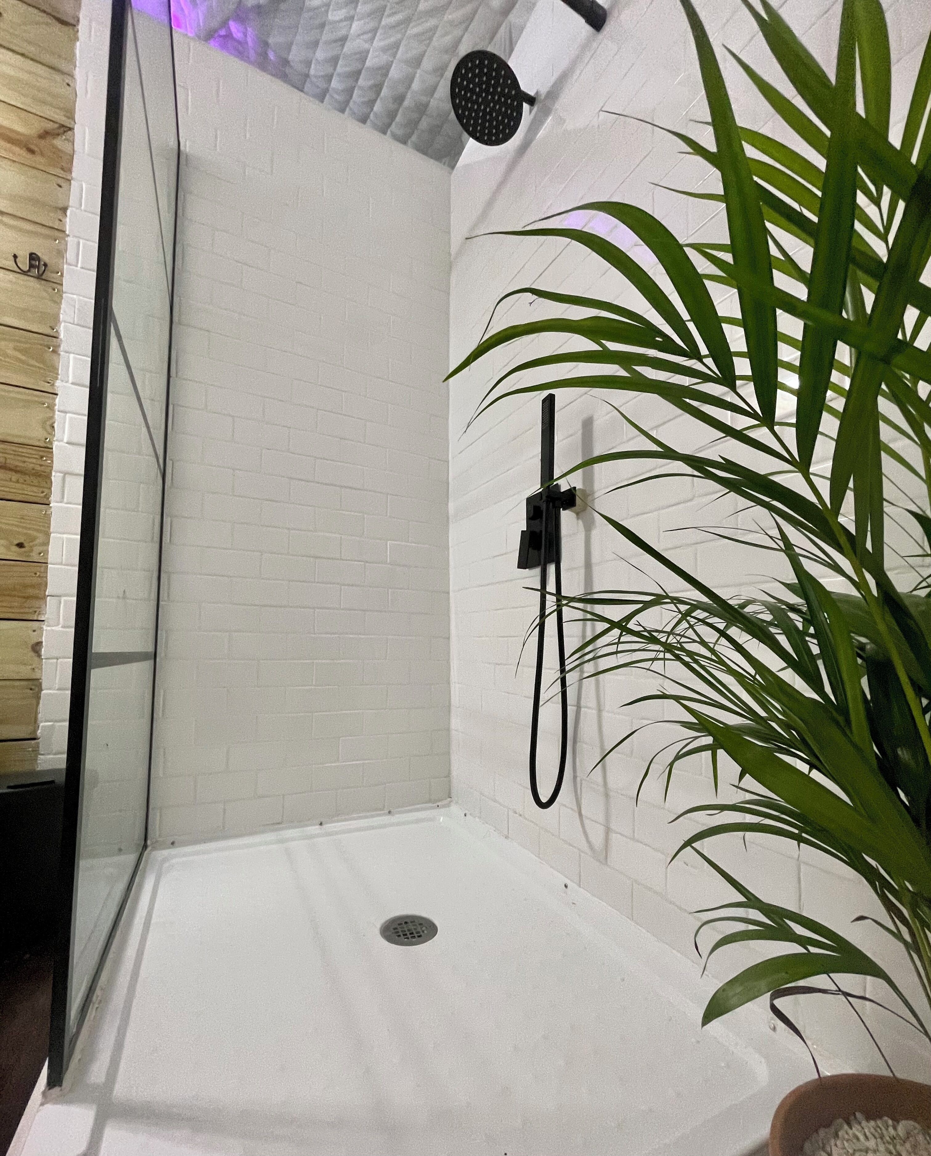 Zona de ducha con pared de ladrillo blanco, ducha negra y planta en maceta.