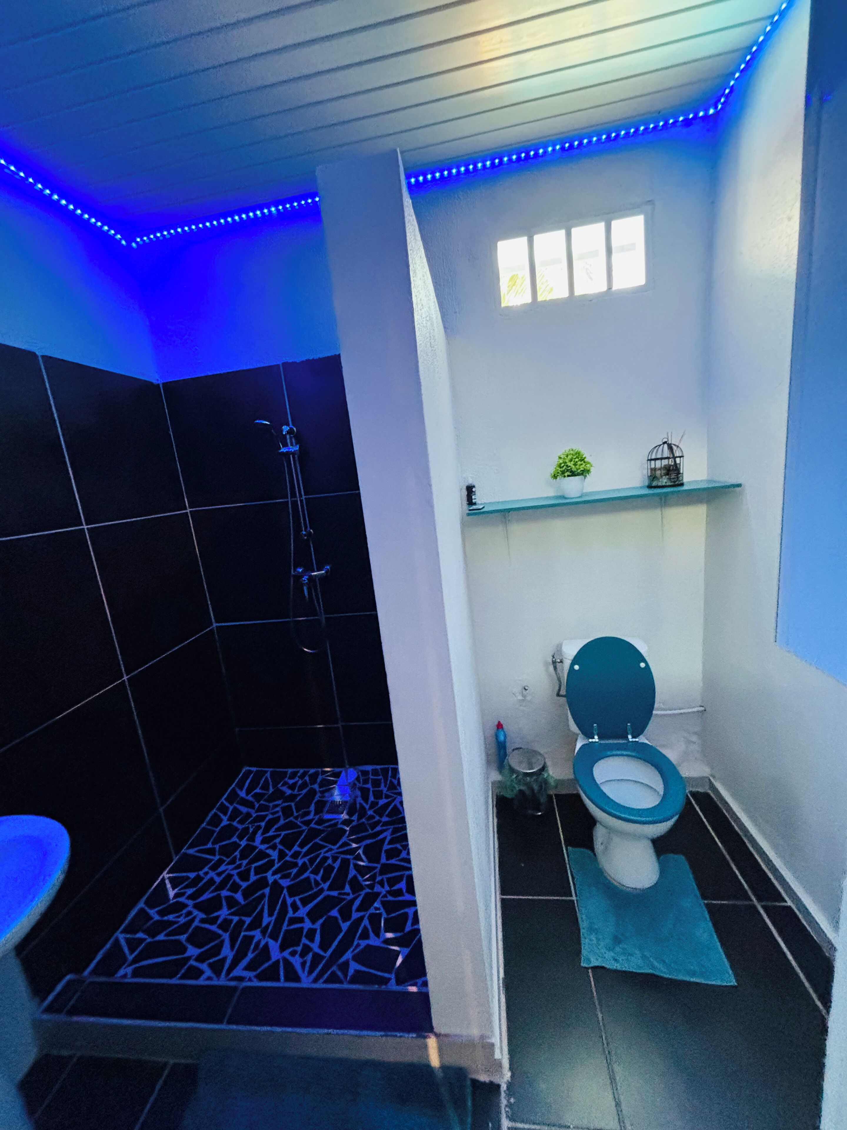 Un baño con ducha, inodoro y un pequeño estante con una planta.