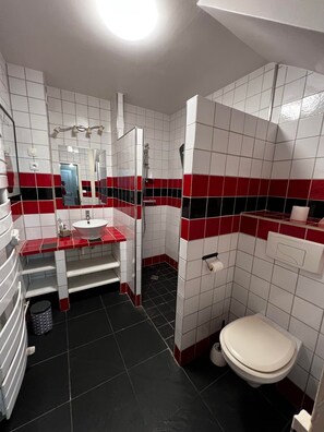 Douche, sèche-cheveux, serviettes fournies, papier toilette