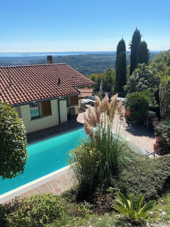 A house with a swimming pool, surrounded by lush greenery and tall trees.