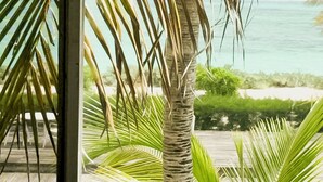 Vista de una palmera y una terraza de madera con una vista despejada del océano.