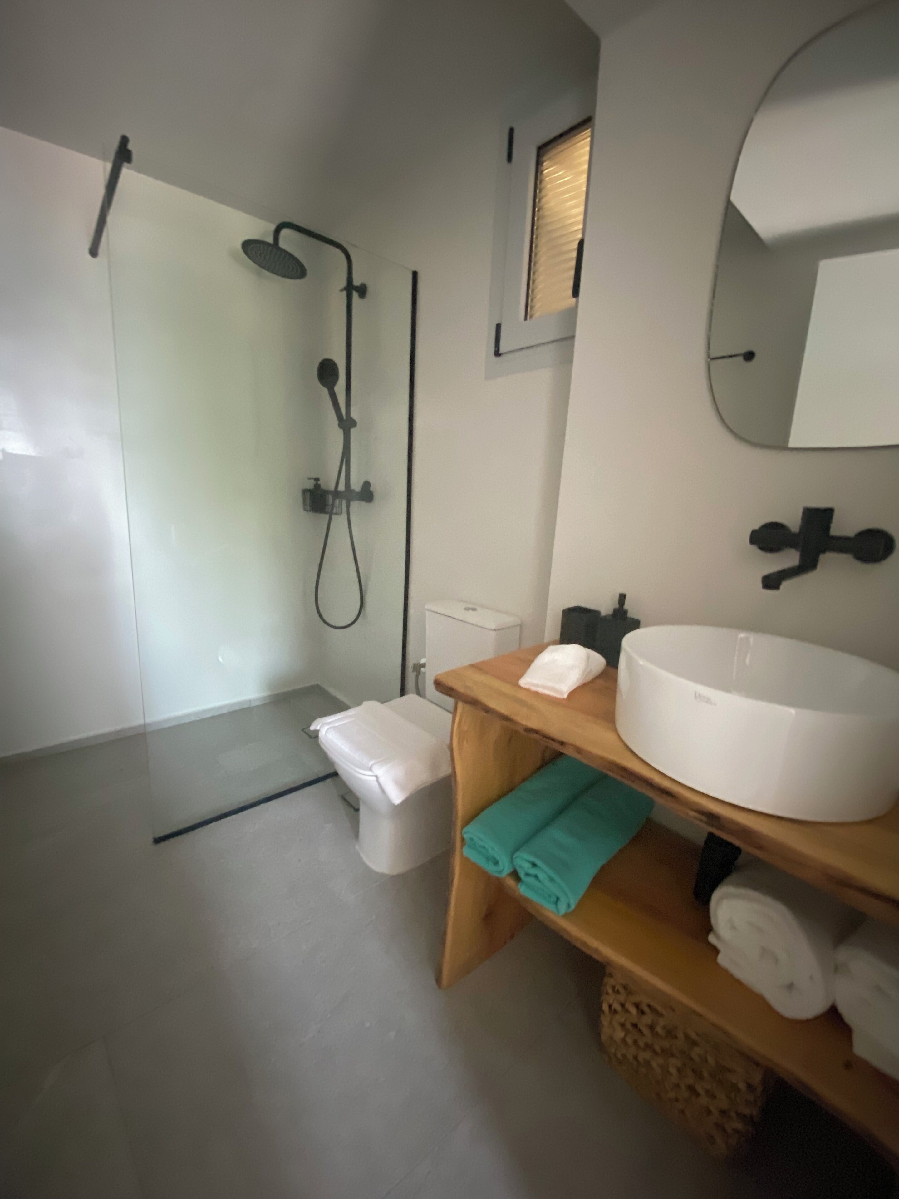 A modern bathroom with a glass-enclosed shower, a white toilet, a wooden vanity with a large sink, and a mirror.