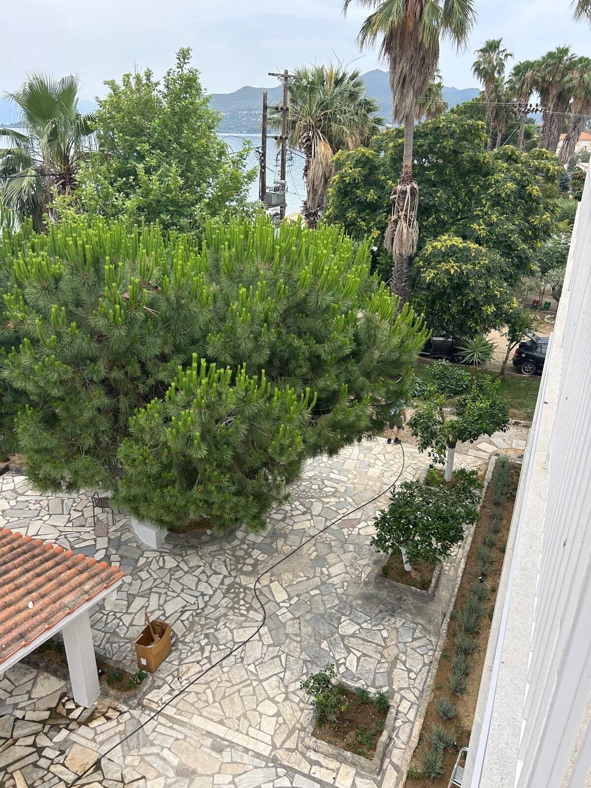 Un patio con un suelo de piedra, un árbol grande y vistas al mar y las montañas.