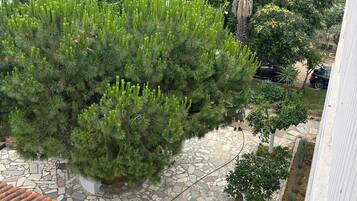 Un patio con un suelo de piedra, un árbol grande y vistas al mar y las montañas.