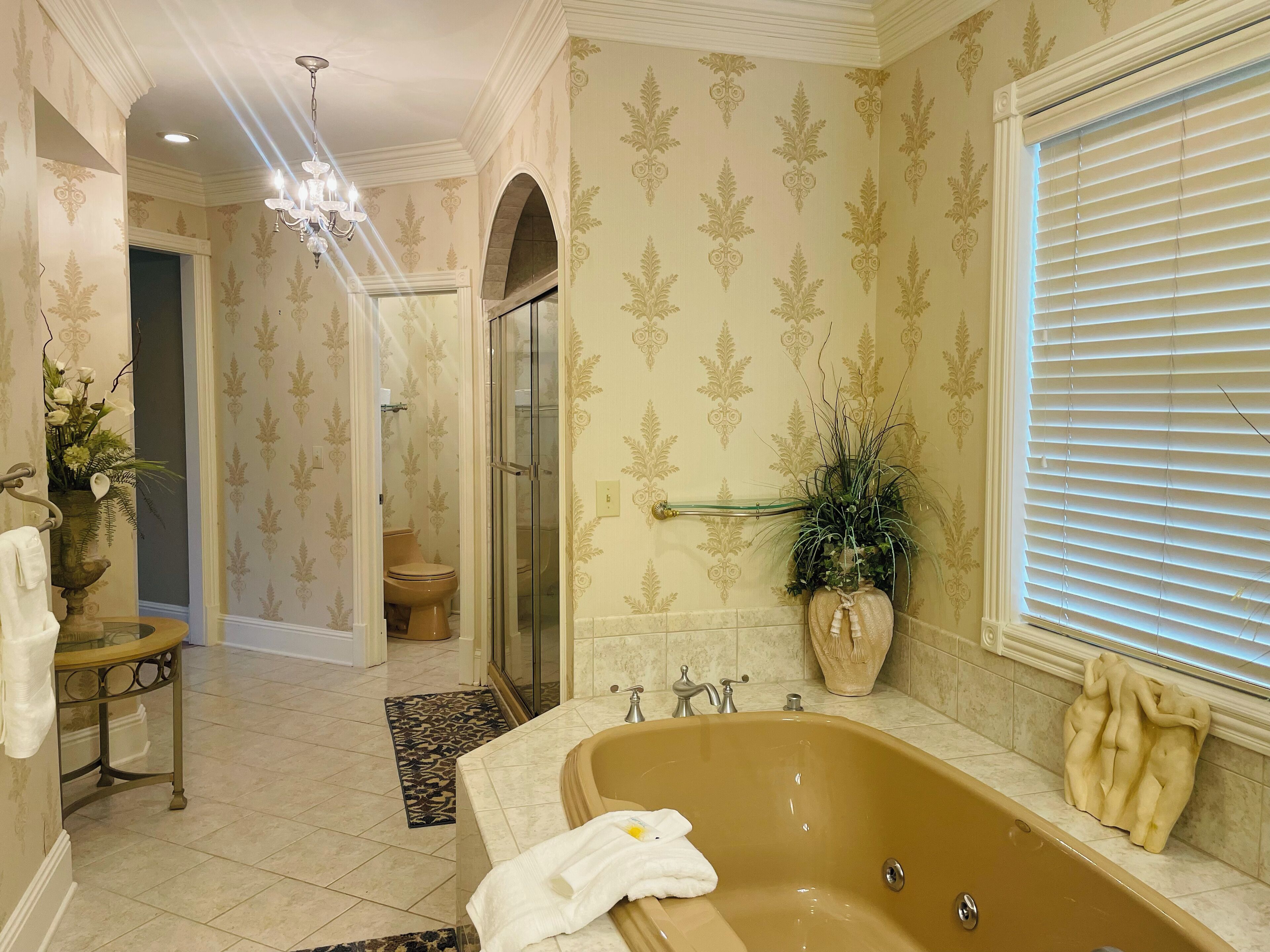 Shower, jetted tub, hair dryer, towels