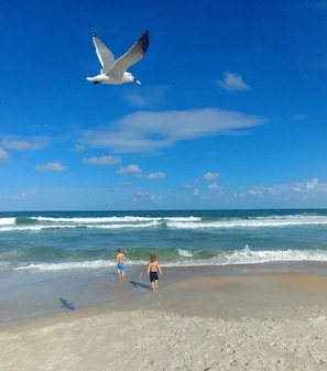 Playa