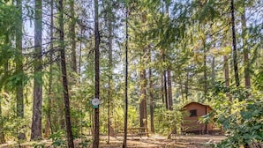 A stone staircase leading up to a wooden cabin in a forested area.