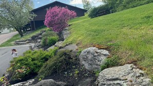 Un edificio con facciata in pietra, circondato da un giardino curato con un albero di fiori rosa molto evidente.