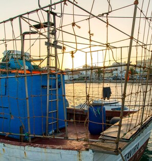 A boat with a blue cabin and a netted area, docked at a marina with buildings in the background.