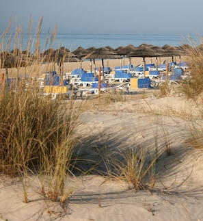 Una playa con sombrillas de paja y tumbonas.