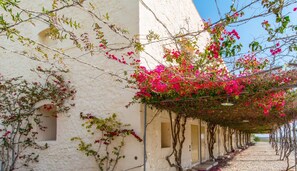 Overnatningsstedets område