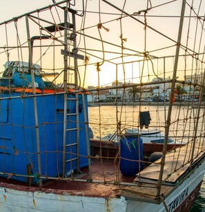 A boat with a blue cabin and a netted area, docked at a marina with buildings in the background.