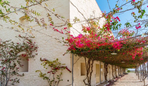 Jardines del alojamiento