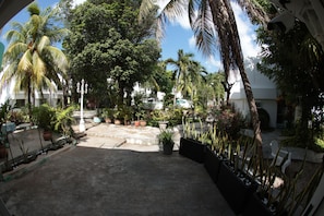 Comfort House, 3 Bedrooms, Kitchen, Courtyard View | Terrace/patio