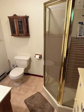 Toilet paper - Charming 3-bdrms & loft cabin, with WiFi, mins to Elk Mountain by Lake Idlewild (Clifford)