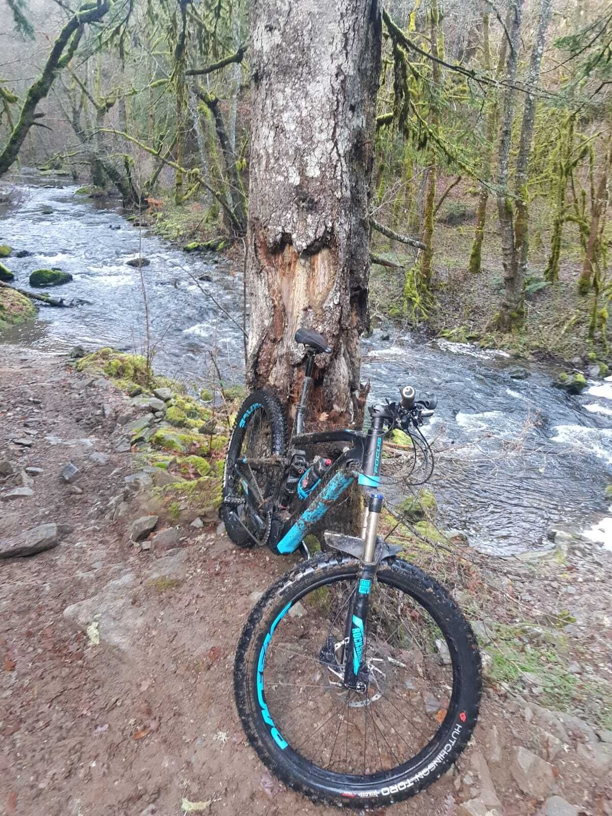 Un vélo tout-terrain est appuyé contre un arbre, près d’un ruisseau qui serpente à travers une zone boisée.
