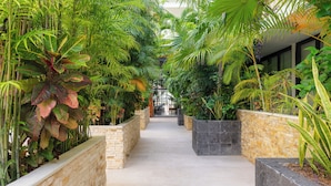 A pathway flanked by lush greenery and stone walls, leading to a building with large windows. - Your cofortable Oasis in Playa del Carmen (Playa del Carmen)