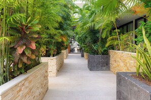 Stroll through a lush, tropical garden surrounded by a tranquil atmosphere and a variety of plants.