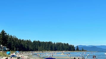 Sun loungers, beach towels