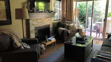Smart TV, chimenea, libros y impresora