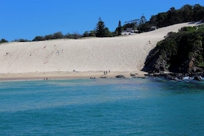 Plage à proximité, chaises longues, serviettes de plage