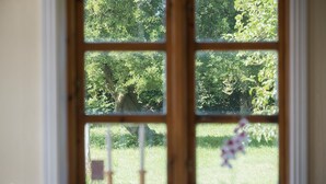 A window with a view of a green landscape, including trees and grass.