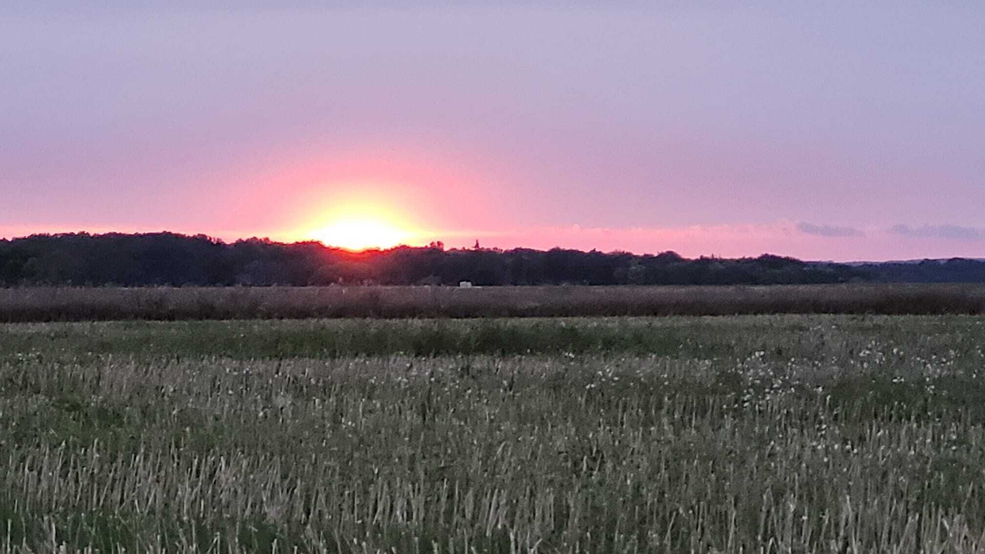A sunset over a field with a distant tree line.
