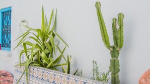 Una planta de cactus en una maceta de baldosas frente a una pared blanca, una puerta azul y un pequeño florero.