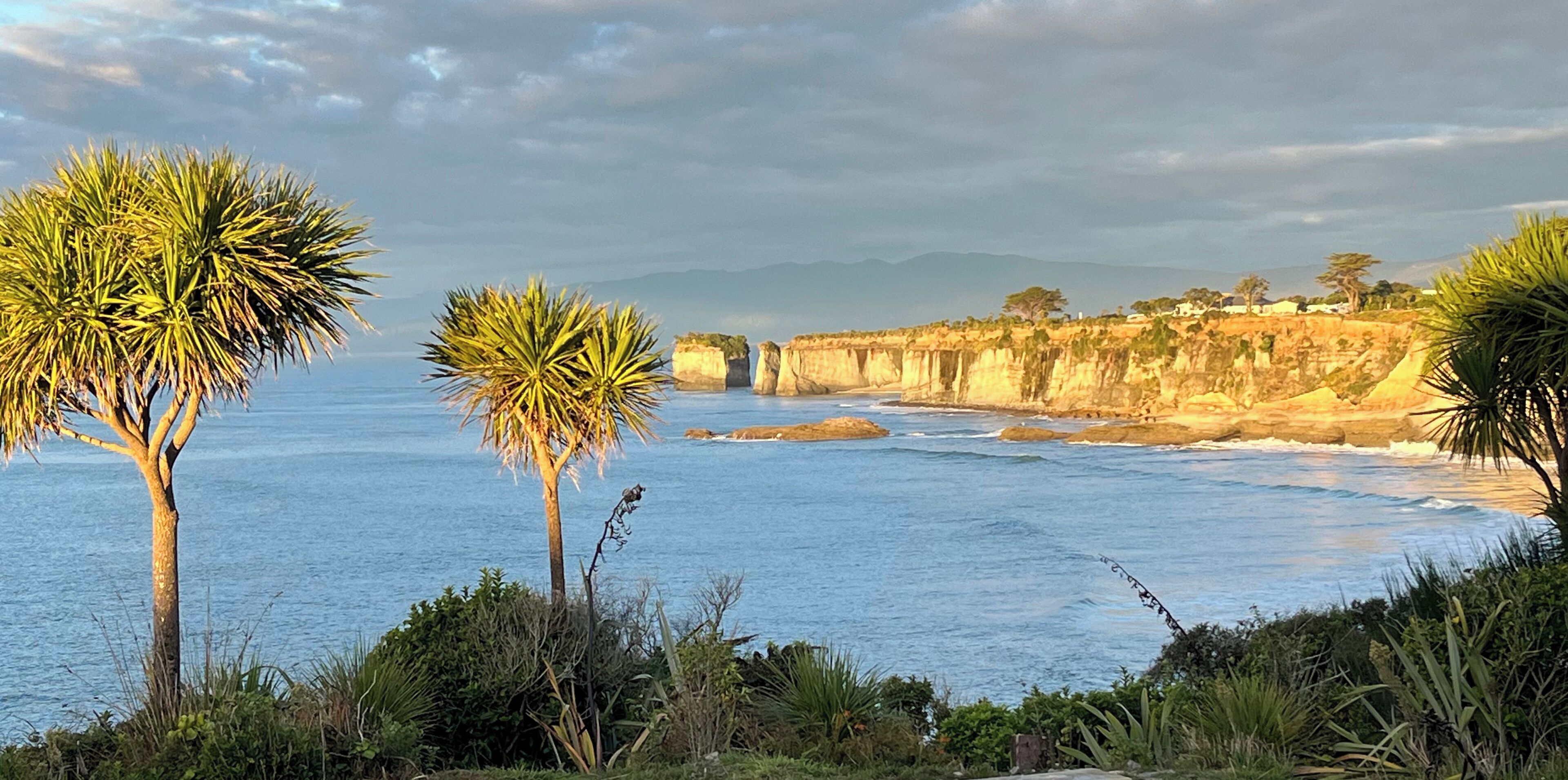 A coastal landscape with palm trees, a rocky cliff, and the ocean.