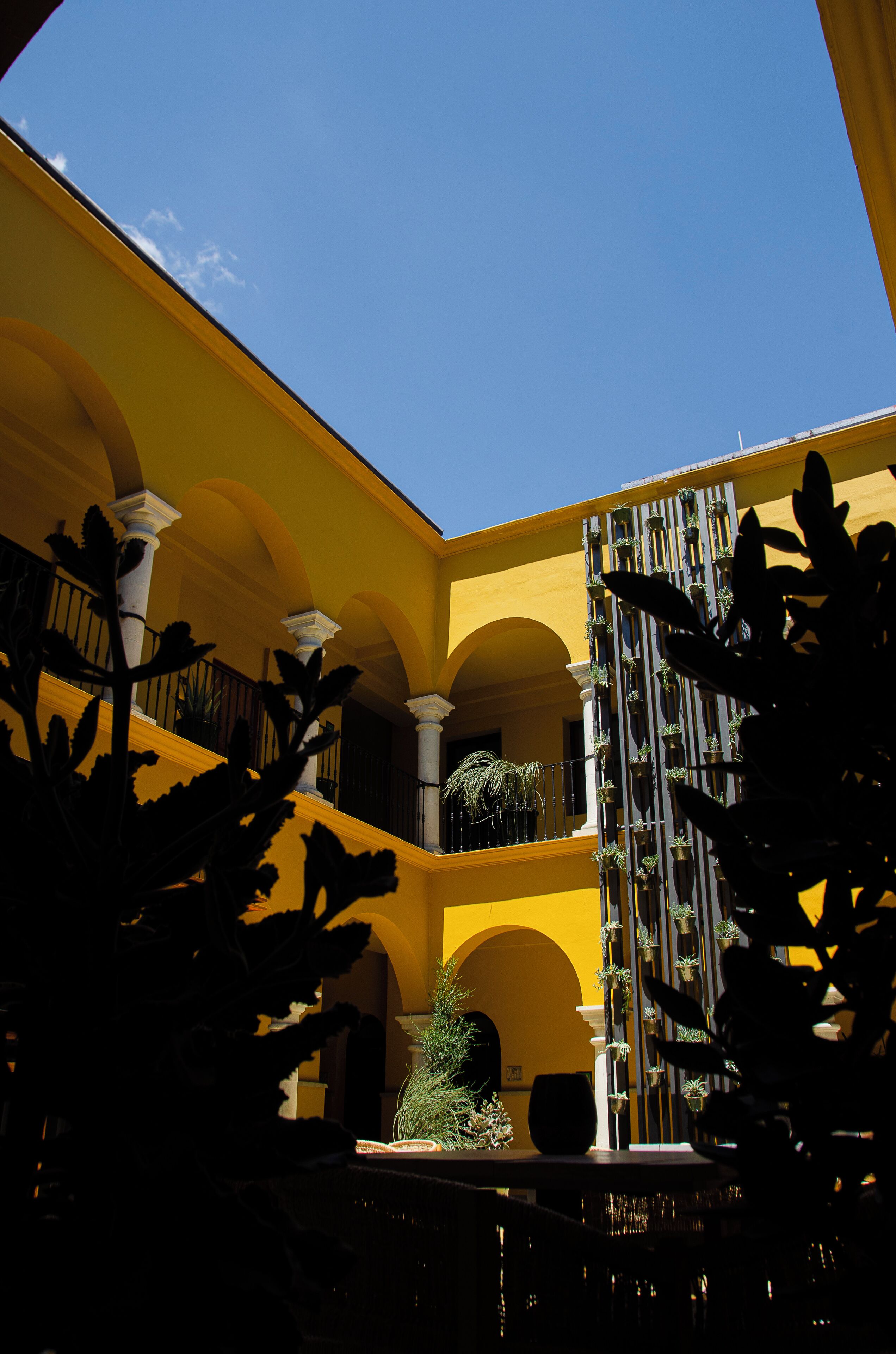 Foto - Hotel Casona Oaxaca