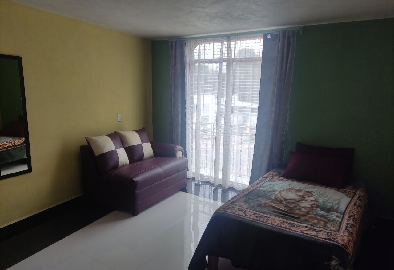 A room with a sofa, a bed, and a window with curtains.