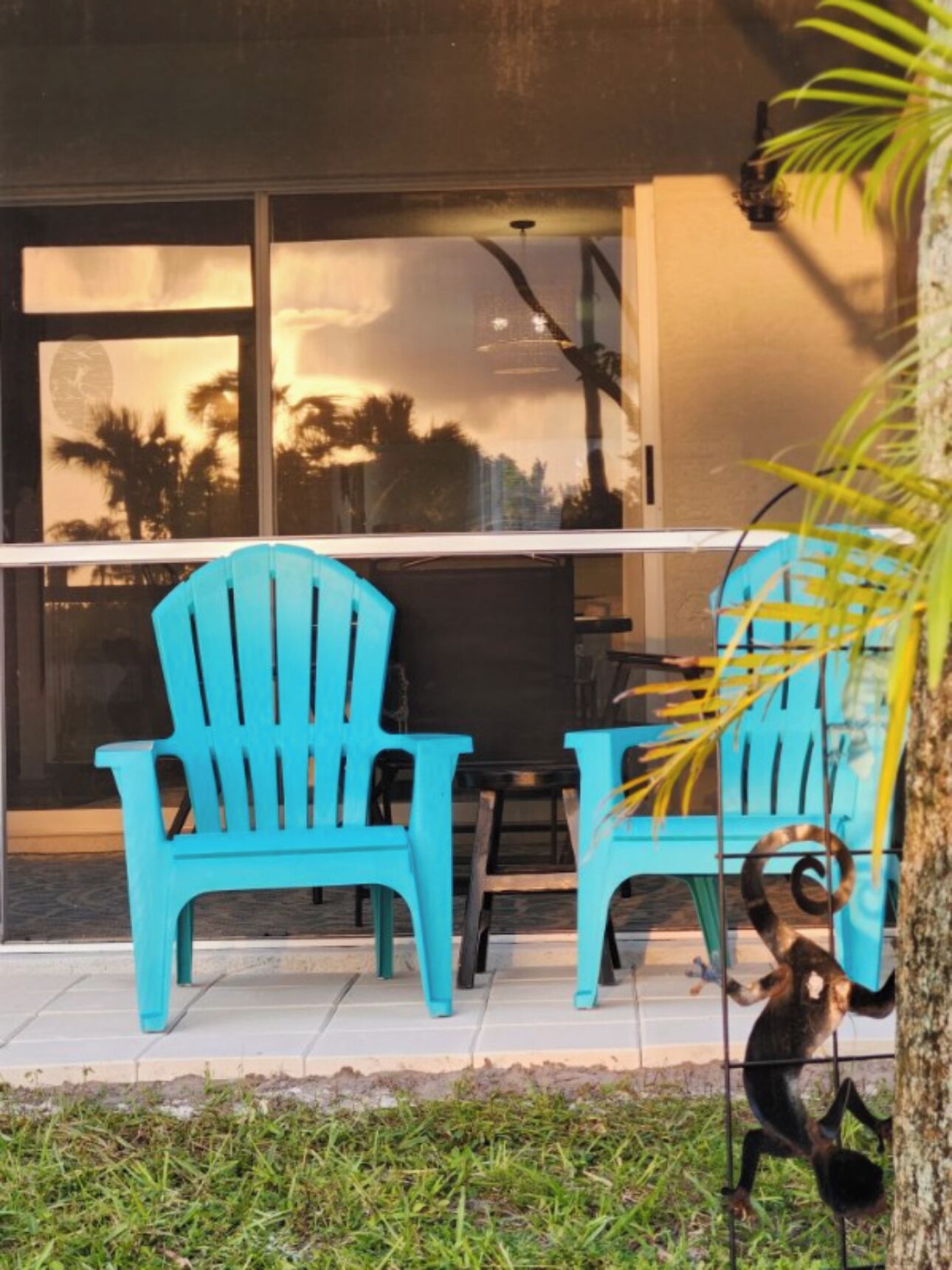 Un espace patio avec des chaises turquoise et une table, un arbre et un singe perché sur un fil.