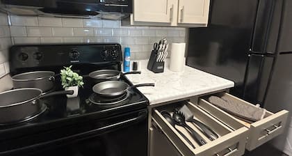 2-bedroom apartment in enchanting Sherman with AC, WiFi