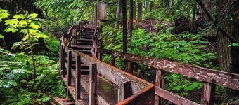 Beautiful 3 Bedroom House w/ Hot Tub, Sauna & Private Yard - 2 Minutes to RMR