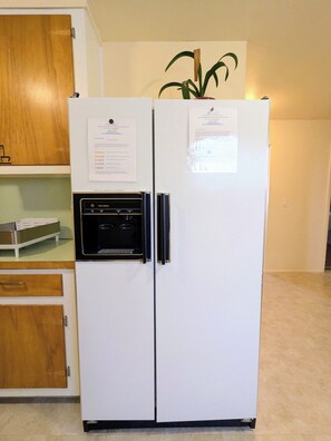 A white refrigerator with a built-in ice maker, a wooden cabinet below it, and a potted plant on top.