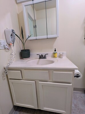 Hair dryer, towels, soap, shampoo