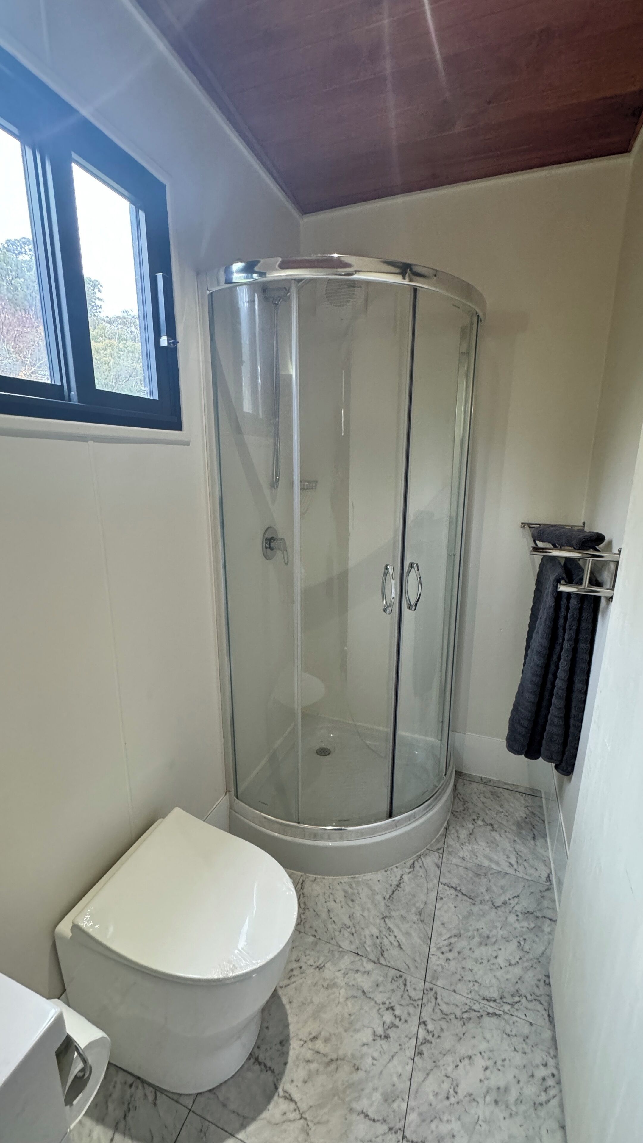 A bathroom with a glass-enclosed shower, a white toilet, and a towel rack.