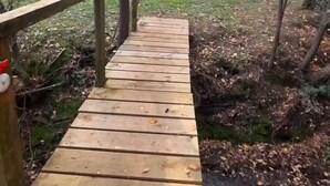 A wooden bridge in a forested area with a metal railing. - Romantic tiny house escape amongst wineries & MTB Trails. Fire Pit, Creekside (Lidster)