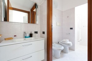 Shower, hair dryer, bidet, towels