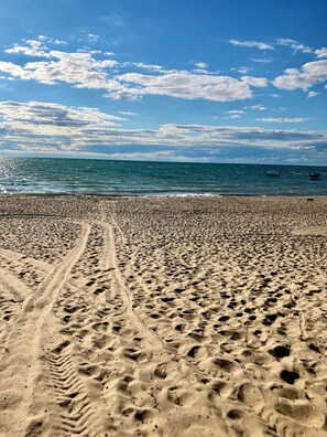 شاطئ