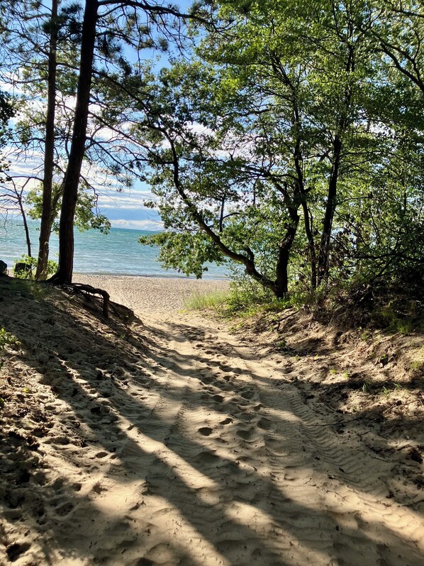 Un sendero arenoso que lleva a una playa bordeada de árboles.