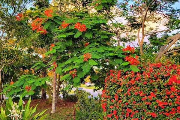 Terrein van de accommodatie
