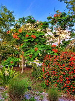 Áreas de la propiedad