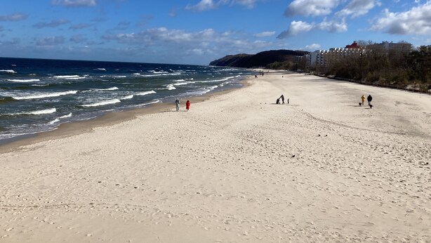 En strand med folk som promenerar och hundar, en klar himmel och byggnader i bakgrunden.