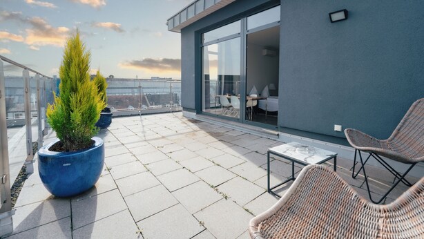 A rooftop terrace with a large potted plant, wicker chairs, and a table. - Das Loft Apartments (Aachen)