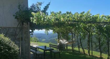 Charming 2-bedroom country house in Gabrovka with an exceptional view.