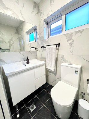 Hair dryer, towels, soap, shampoo