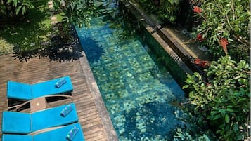 Outdoor pool, pool umbrellas, sun loungers